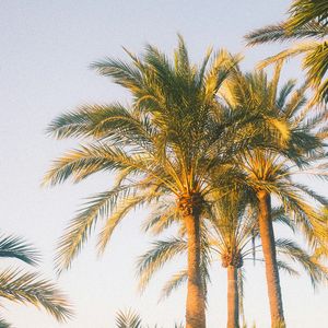 一个人的夜晚太难熬