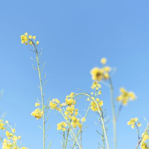 一段模糊的记忆