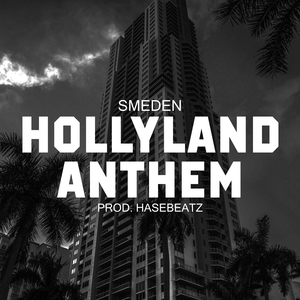 Hollyland Anthem