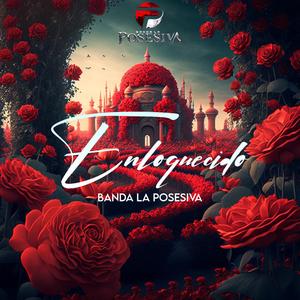 Enloquecido