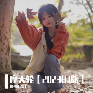 柳州DJ晨七七-摩天轮DJ【2023新版】