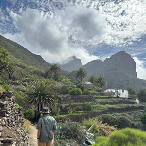 44 (juno airlines mix)