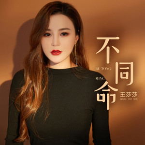 不同命 (伴奏)