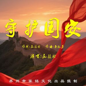 守护国安