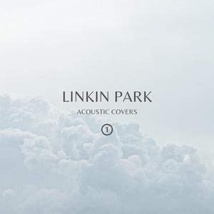 In The End (acoustic)