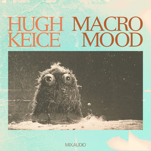 Macromood (Playmix Version)