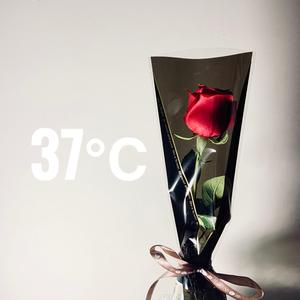 37℃ (prod.YoungBvlloon)