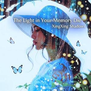 A Shadow on the Glass