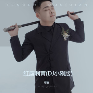 红唇刺靑 (DJ小刚版)