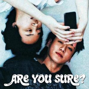Are You Sure? (Jikook)