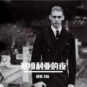 塞维利亚的夜