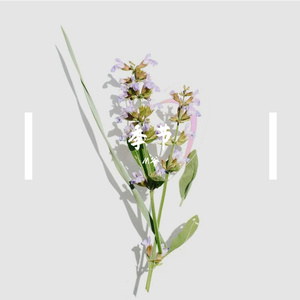 季节 伴奏
