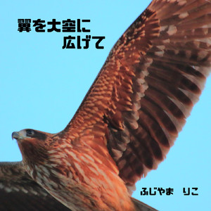 翼を大空に広げて