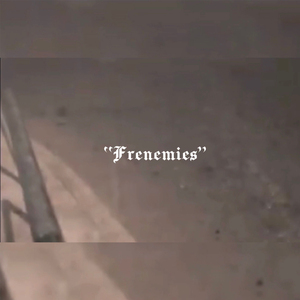 Frenemies