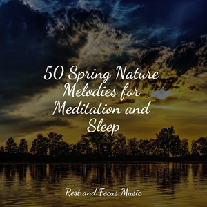 Meditation Unbound