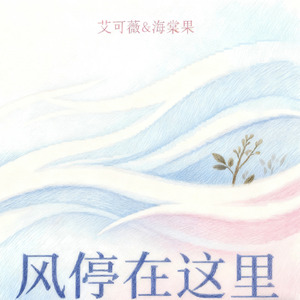风停在这里