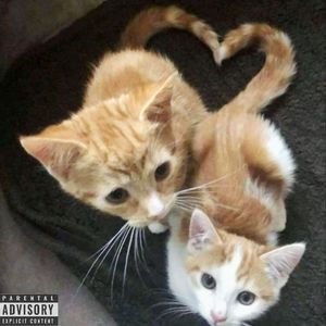 U Know，Z（像荆棘）