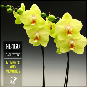 Altern Place (Original Mix)