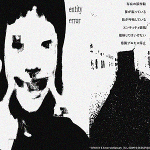 Entity Error