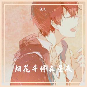 烟花升停在星夜