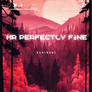 Mr perfectly fine