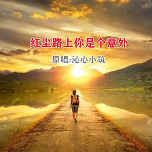 红尘路上你是个意外