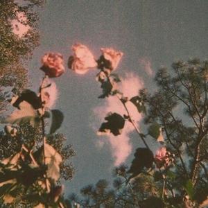 Les (Instrumental Slowed + Reverb)