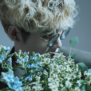 耐冬花（WINTER FLOWER）