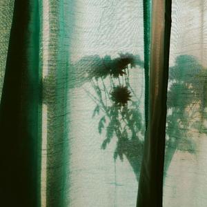 我喜欢你是如此的寂静