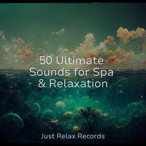 Spellbound Soarings Through Magic