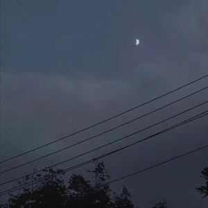 维xin主义（prod by Morrow）