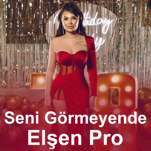 Seni Gormeyende