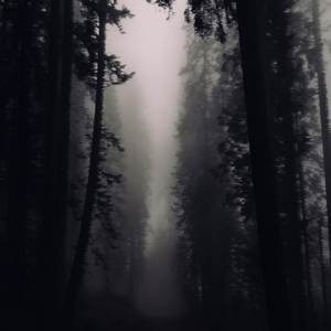 Old Doll (Slowed + Reverb)