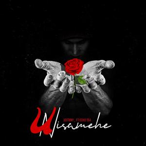 UNISAMEHE (feat. Echo254)