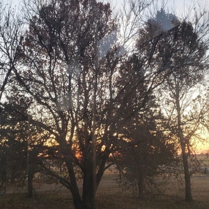 november (interlude)