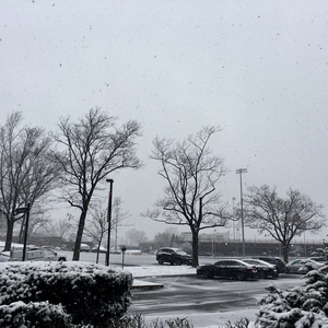 被雪宠爱的主角