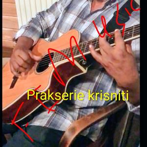 Prakserie krisniti
