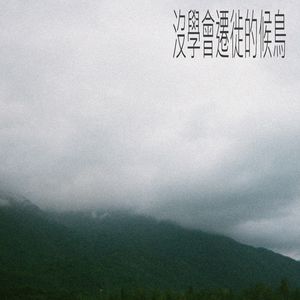 没学会迁徙的候鸟