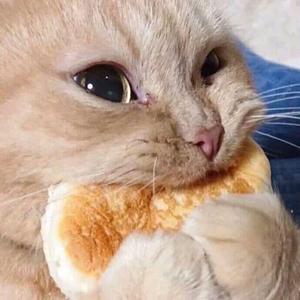 欧若拉（男生版）（翻自 张韶涵）