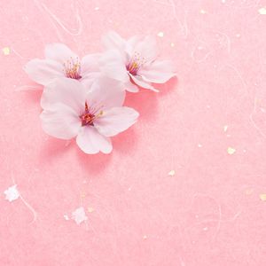 春色グラデーション