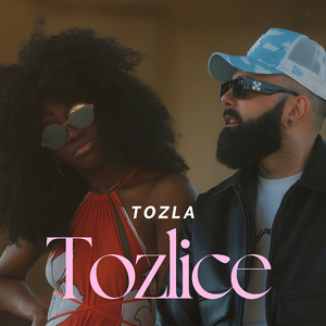 Tozlice