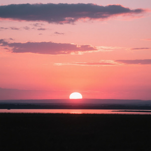 オレンジ色のきみに会いたいⅡ