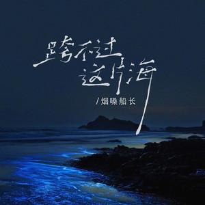 跨不过这片海