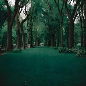 Mètché dèrshé reggae