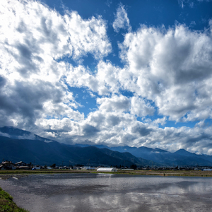 夏の夜 -自然音-