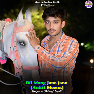 Dil Mang Jano Jano (Ankit Meena)