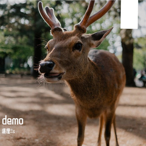 demo 伴奏