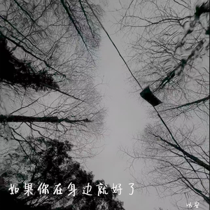 如果你在身边就好了