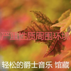 柔和的养生时刻