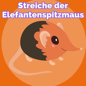 Streiche der Elefantenspitzmaus